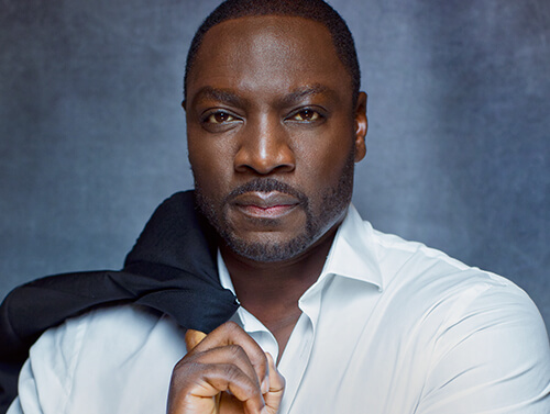 Adewale Akinnuoye-Agbaje